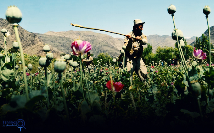 مواد مخدر در افغانستان