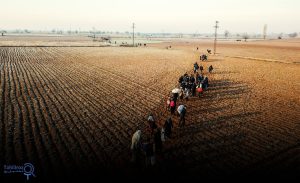 بحران پناهجویان