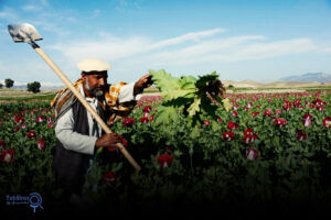 روز جهانی مبارزه با مواد مخدر