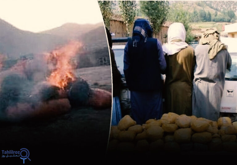 مبارزه طالبان علیه مواد مخدر