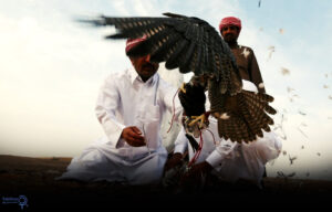 حیات وحش افغانستان