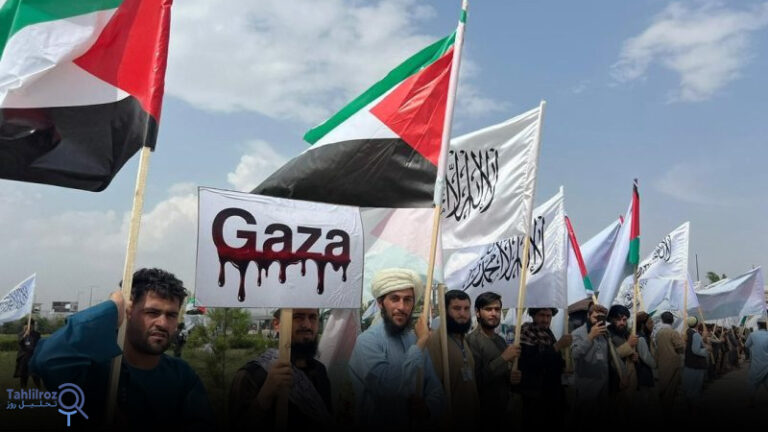 دفاع از فلسطین