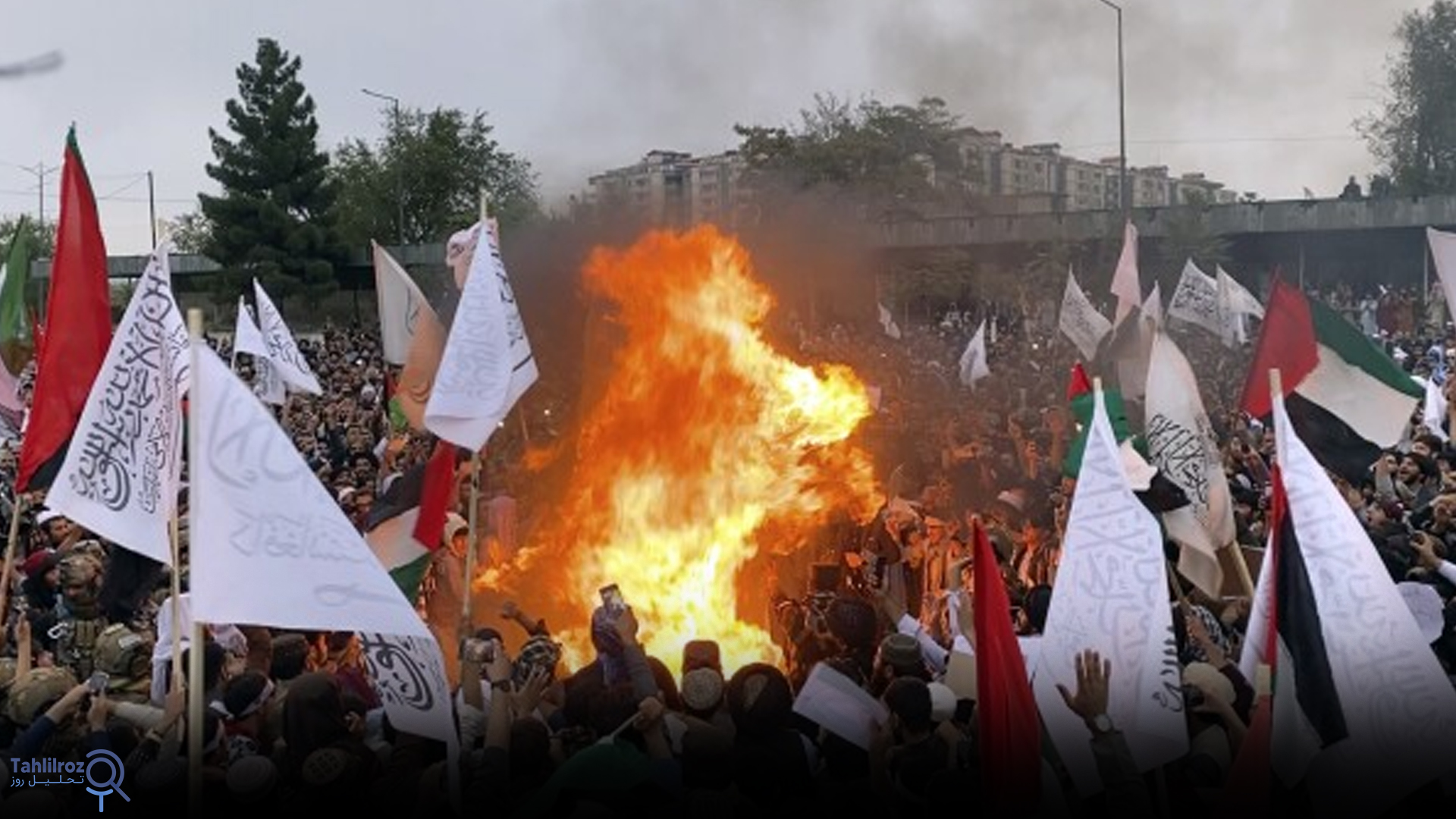 دفاع از فلسطین