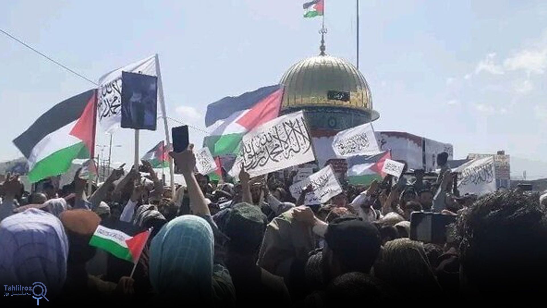 دفاع از فلسطین