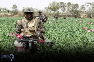 آمریکا و تجارت پرسود مواد مخدر در افغانستان: دو دهه حمایت پنهان