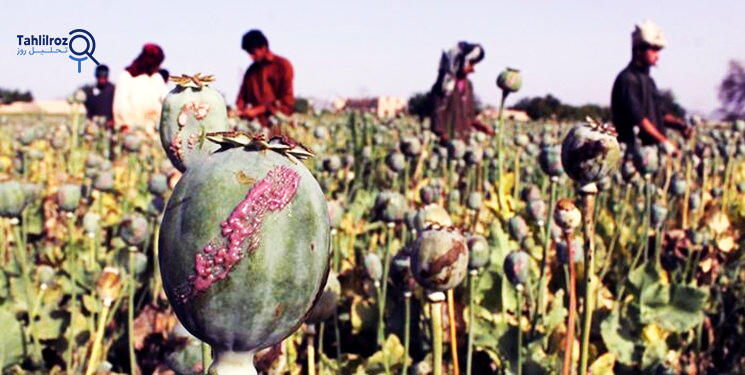 مهار مواد مخدر