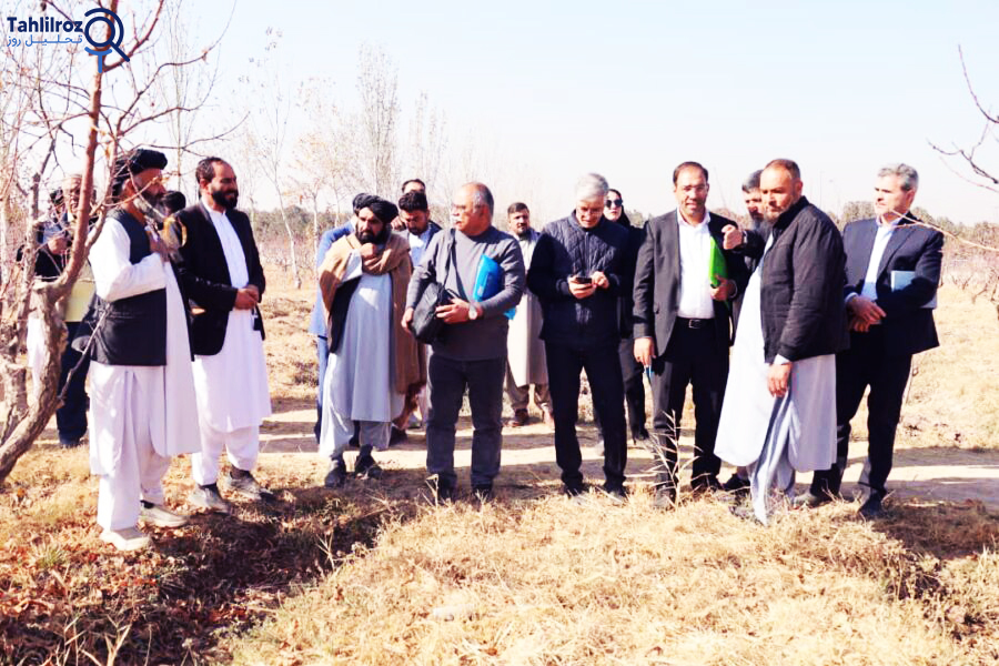 حرکت نخستین قطار گازوئیل از بندر امام خمینی (ره) به هرات