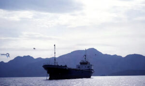 محاصره دریایی تنگه هرمز؛ قمار آخر ترامپ بر آب‌های خلیج فارس